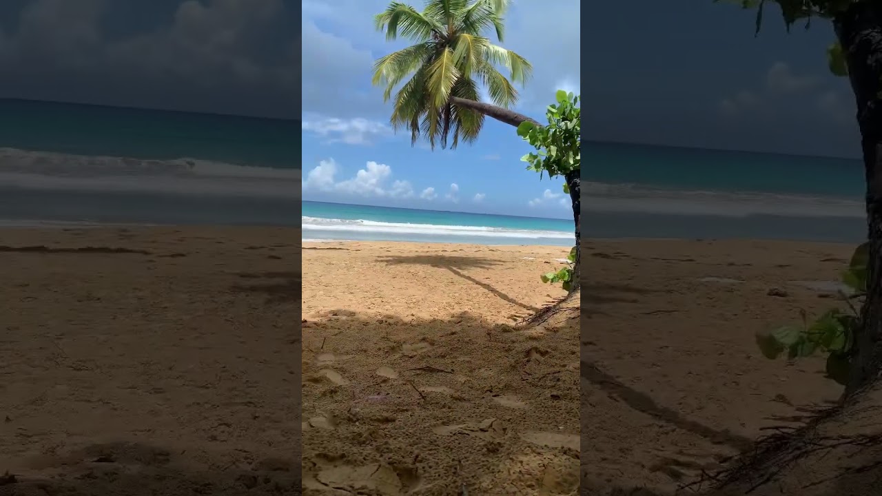 Playa Coson ,  Las Terrenas 📍