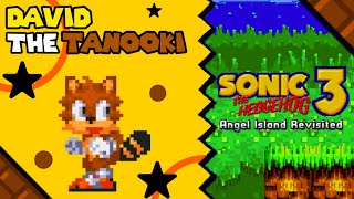 David The Tanooki in Sonic 3 A.I.R
