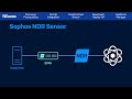 Sophos NDR Setup in Microsoft Hyper‑V | Deploy NDR Sensor with Step‑by‑Step Guide