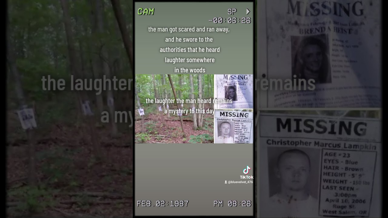 A Man Discovered Missing Person Posters In The Forest 