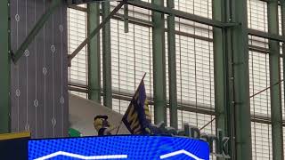 Bernie The Brewer Waving the Flag!