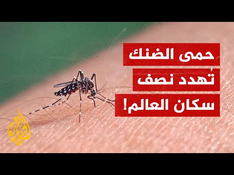 نصف سكان العالم معرضون لخطر حمى الضنك
