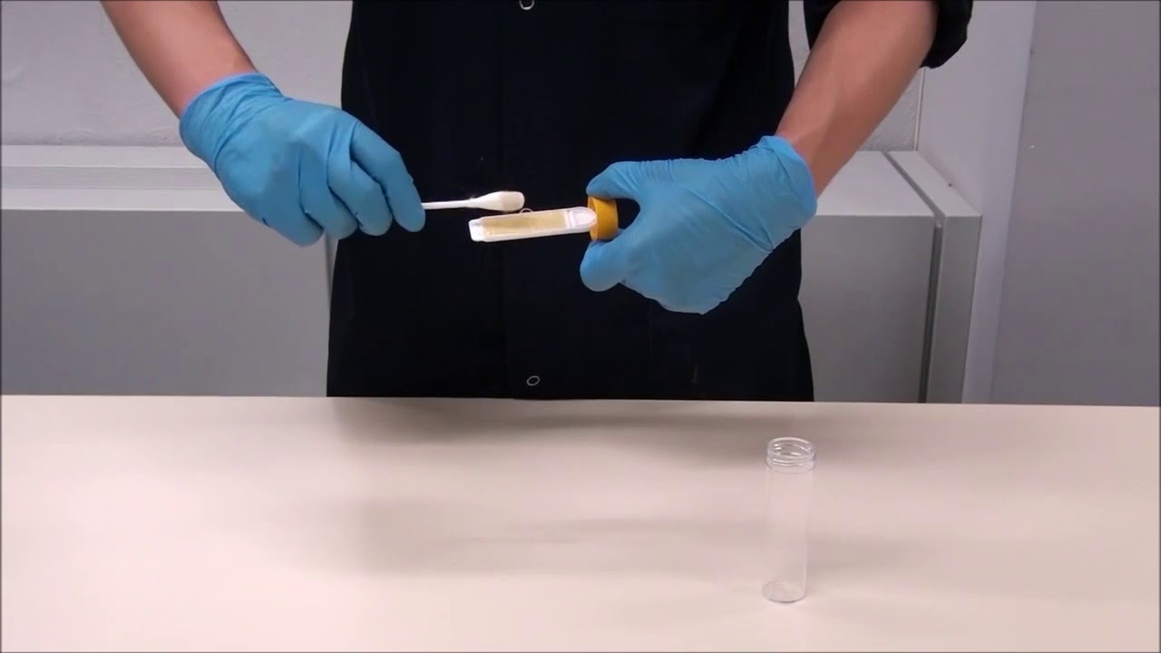 Hoe doe je aan schimmeldetectie met een broedstoof? I Erfgoedwijzer