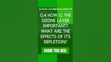 NIOS 12th HOME SCIENCE (321) IMPORTANT QUESTIONS FOR OCTOBER 2025 EXAM