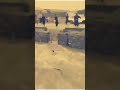 محاولة أنقاذ حياة شخص من مسيل فى حى شراباد ايران 
