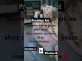 Psychology Fact Someone Who Stays In Your Mind No Communication Shorts Facts Psychology Love mp3