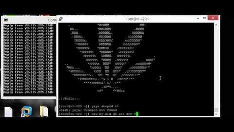 Stress Testing with Dedicated Server