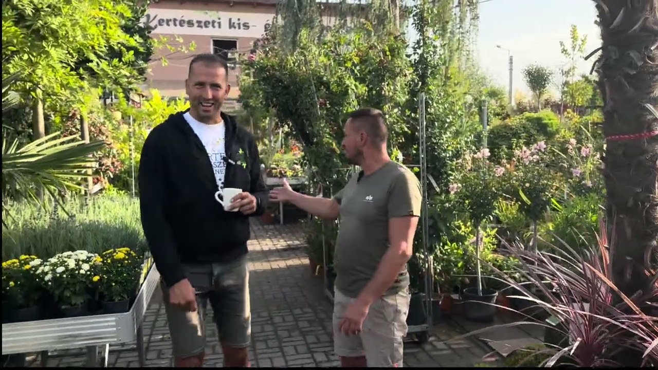 Nyár értékelés a Táj-Kertészetben. Őszi ültetés? Mit ajánlunk, mit szabad most? 