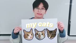 lee know is a cat butler (soonie, doongie and dori's dad)