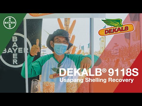 DEKALB® 9118S |