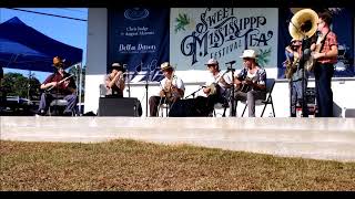 Tuba Skinny @ Sweet Tea Festival _ 'Them Things Got Me'