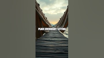 Rivers, Bridges, and Battle Lines The Floating Way