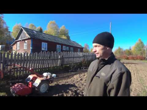 Агро , осенняя