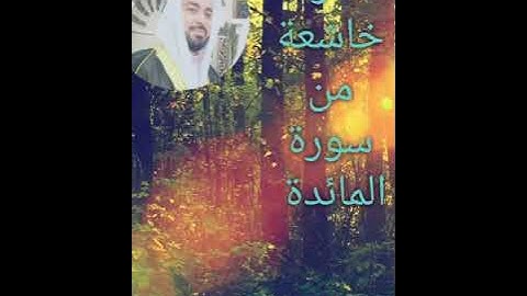 تلاوة خاشعة من سورة المائدة ..بصوت القارئ / محمد حسن