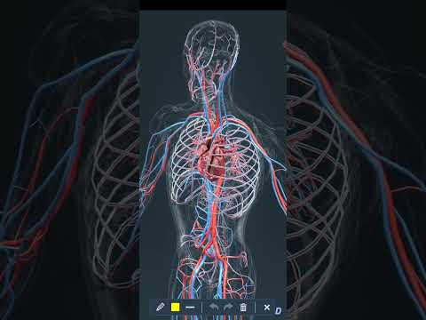 Vidéo: En myélographie, le contraste est ?