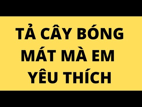Video TẢ CÂY BÓNG MÁT MÀ EM YÊU THÍCH - youtube