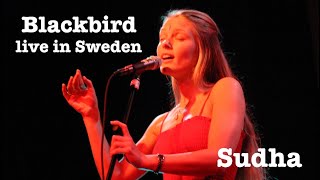 Blackbird performed live by Sudha,  Maneesh de Moor and Praful at the No Mind Festival 2004