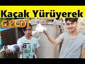 Kaçak Kuş Yürüyerek Geldi. Arda ve Girayın Güvercin Kümesi. Gebze Güvercin Kümesleri. Kaçak Güvercin