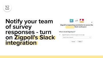 Notify your team of survey responses - turn on Zigpoll