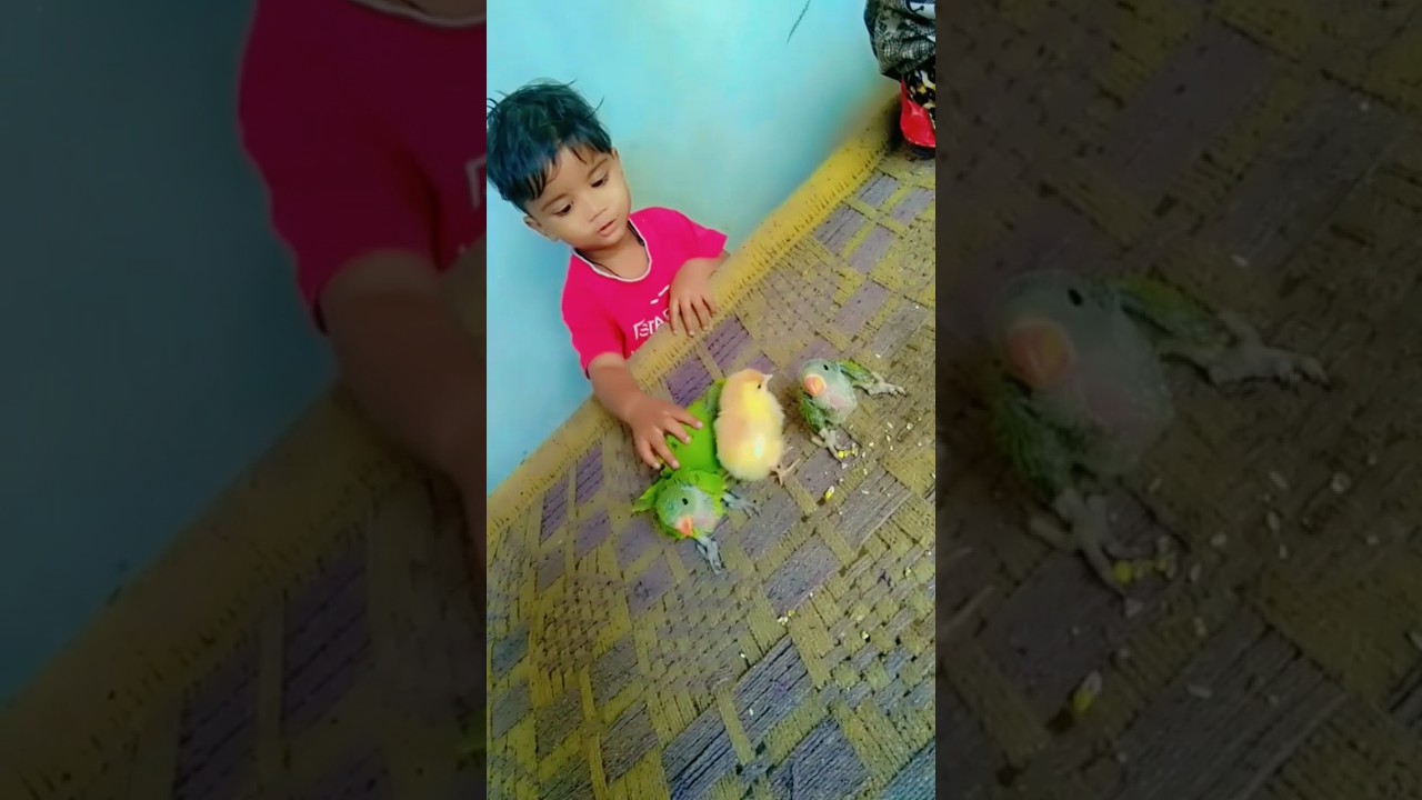 may-19-2023-youtube