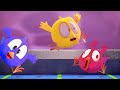 CHICKY COLOR GAME | Where's Chicky? Chicky Cartoon in English for Kids