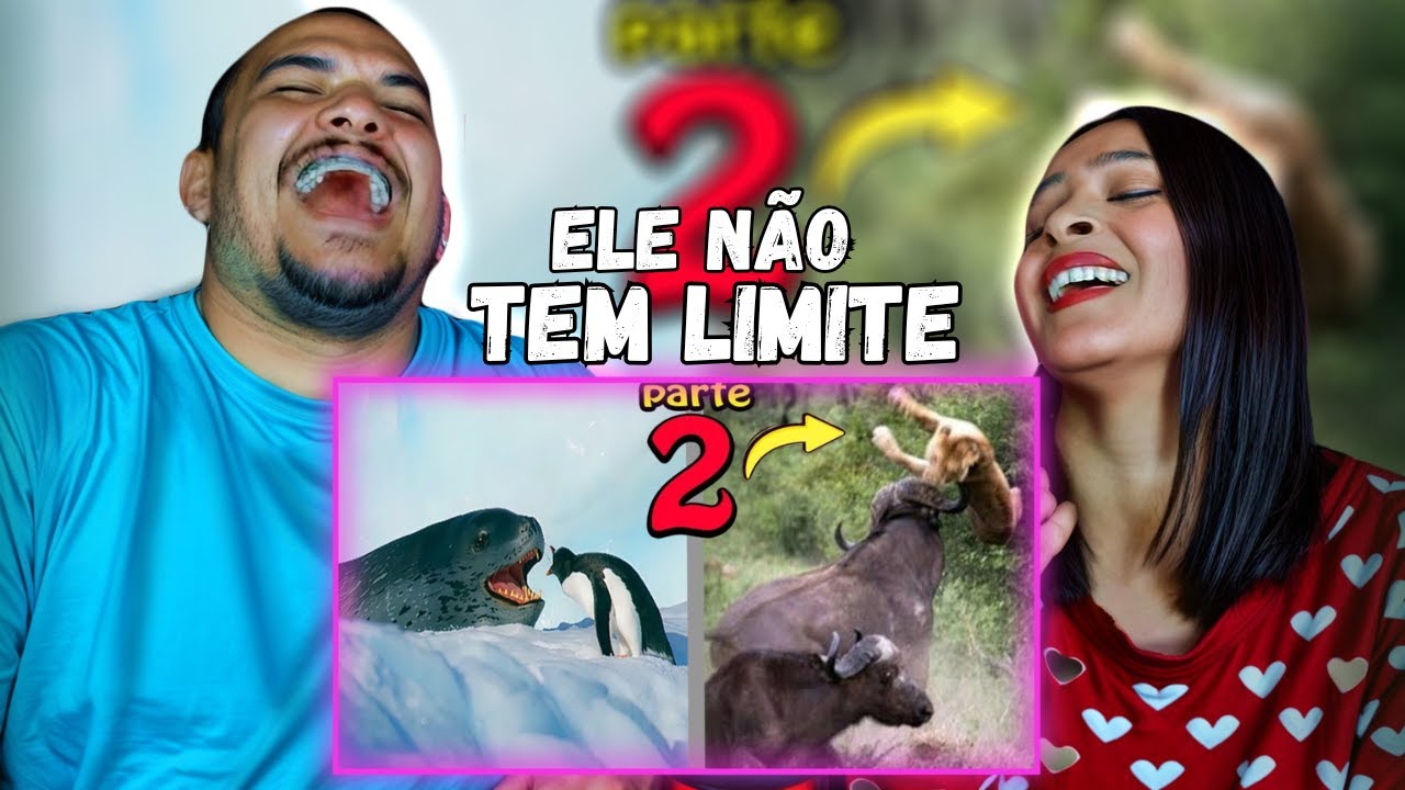 Quando os Animais Escolhem o Oponente Errado PARTE 2!  ( React FALA DE TUDO)