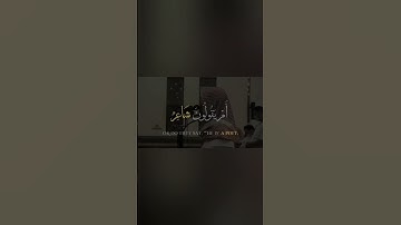 فذكر انما انت بنعنة ربك #القارئ #محمد_اللحيدان #رحلة_الطهارة