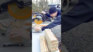 Building Our Chicken Coop! Day 1