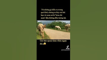 Có hai cặp mẹ con đực mời các bác tham khảo ạ