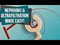 Nephrons and Ultrafiltration [Made Easy]