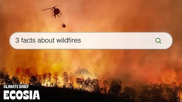 How wildfires start and how to prevent them