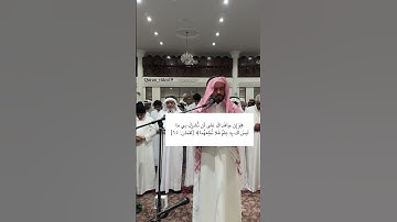 القارئ خالد عبدالقادر ماتيسر من سورة لقمان