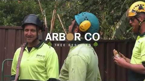 Large Removal Confined Spaces