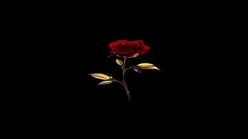 nelegali_95 | All server