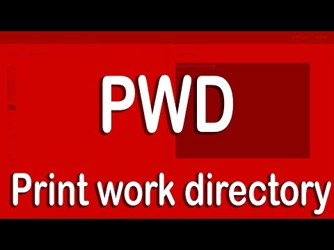 Print Working Directory In Linux | Pwd Command