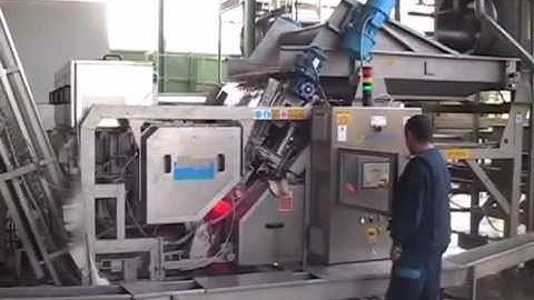Duett 150 - Optical sorting for fresh beans - by Protec