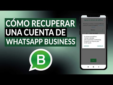 Cómo recuperar una cuenta de WHATSAPP BUSINESS y evitar futuros bloqueos