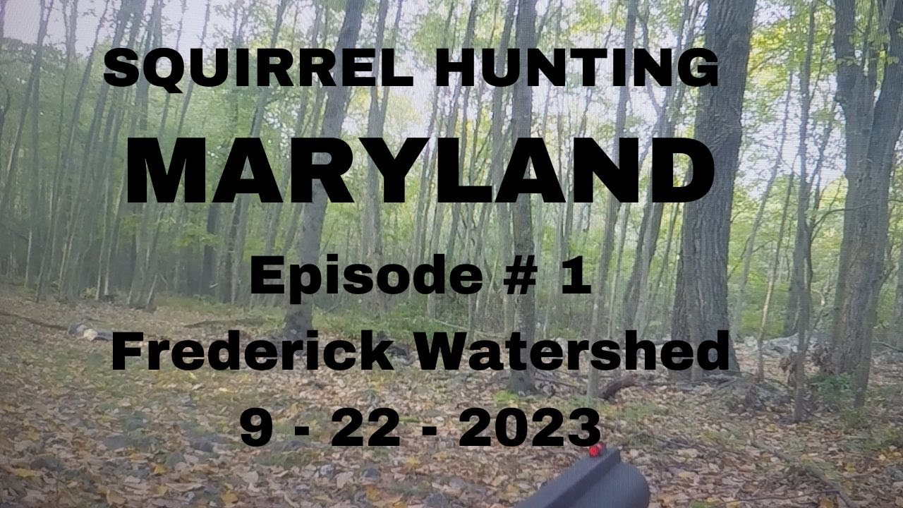 SQUIRREL HUNTING MARYLAND, FREDERICK WATERSHED, Episode 1 YouTube