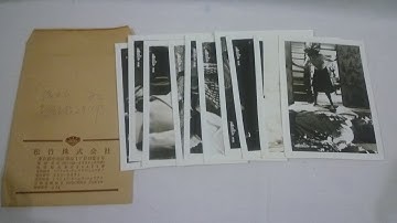 映画 スチール写真 「超高層ホテル殺人事件」宣材写真 10枚セット