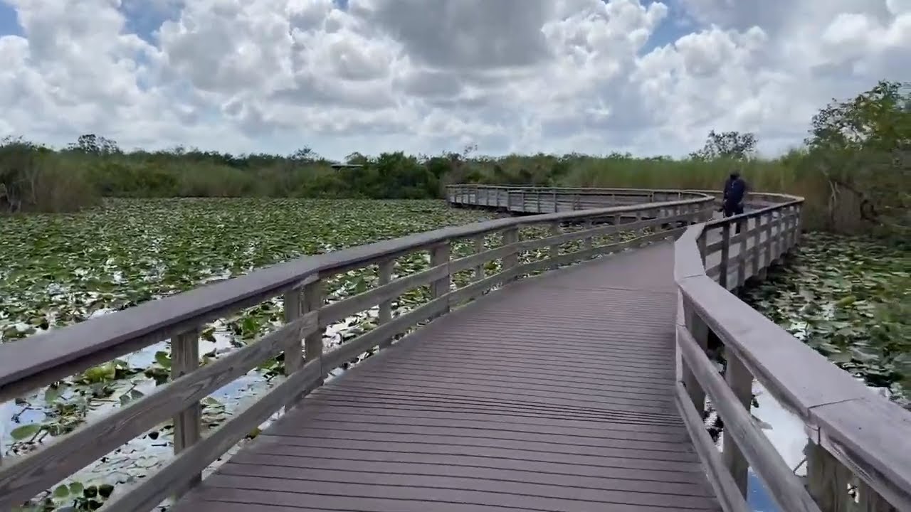 everglades walking tour