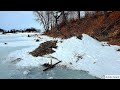 Beaver Trapping 2020 Late Ice (Multiple lodges)