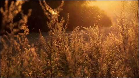 اجمل تلاوة خاشعة عبدالعزيز الزهراني