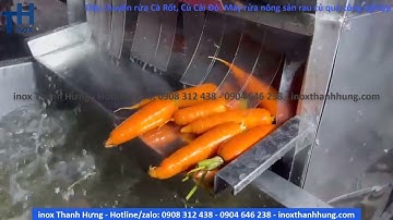 Máy rửa Củ Cà Rốt. Máy rửa rau củ quả nông sản công nghiệp đa năng