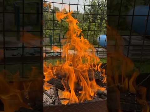 Огонь🔥#ryndinschannel #варярындина #огонь #костёр #костер #огонёк #шашлык #шашлычки #мясо #барбекю