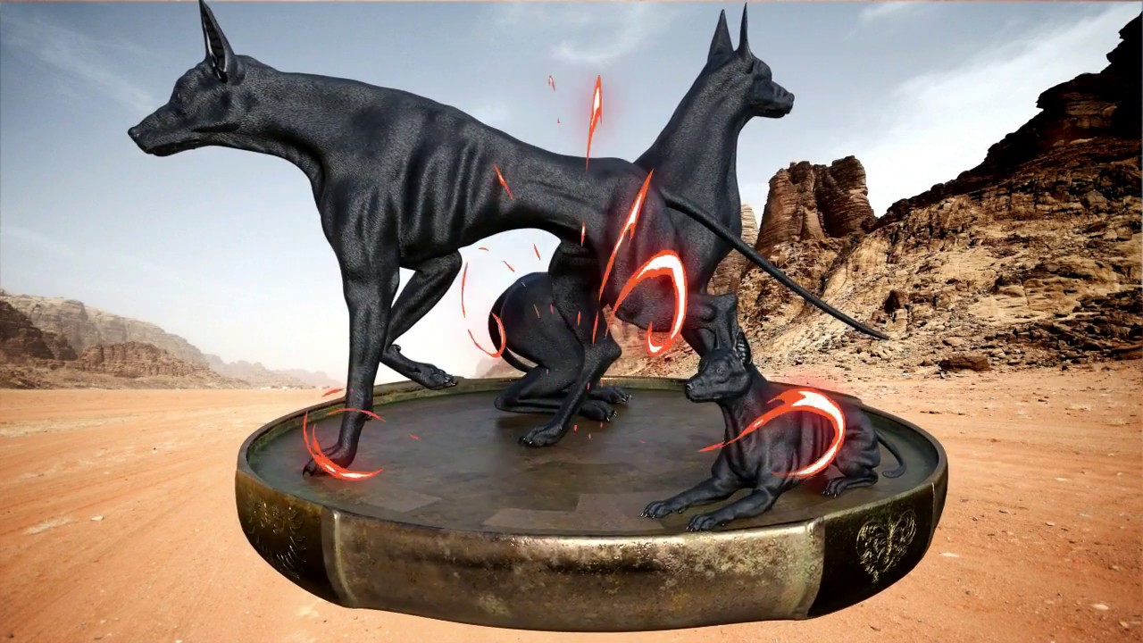 anubis hound