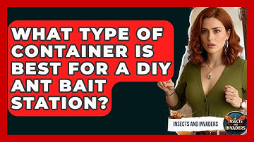 What Type Of Container Is Best For A DIY Ant Bait Station? - Insects and Invaders