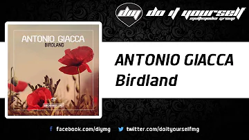 ANTONIO GIACCA - Birdland [Official]