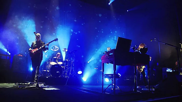 Steven Wilson - Luminol (from the Get All You Dese...