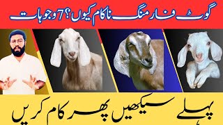 Failure in Goat Farming || 7 Reasons || Dr Noman Ali