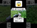 狭い道で車とすれ違った時の対処法